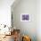 Bulldog I-Fernando Palma-Framed Giclee Print displayed on a wall