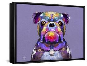 Bulldog I-Fernando Palma-Framed Stretched Canvas