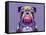 Bulldog I-Fernando Palma-Framed Stretched Canvas