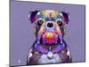 Bulldog I-Fernando Palma-Mounted Giclee Print