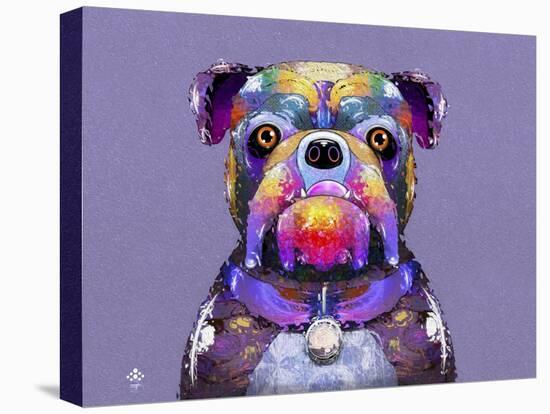 Bulldog I-Fernando Palma-Stretched Canvas