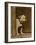 Bulldog in a Doorway-null-Framed Art Print