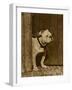 Bulldog in a Doorway-null-Framed Art Print