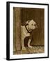 Bulldog in a Doorway-null-Framed Art Print
