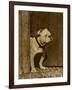 Bulldog in a Doorway-null-Framed Art Print