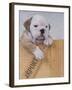 Bulldog in Wooden Box-Akira Matoba-Framed Photographic Print