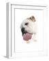 Bulldog Licking the Screen-null-Framed Photographic Print