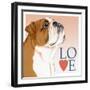 Bulldog Love-Tomoyo Pitcher-Framed Giclee Print