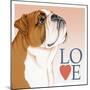 Bulldog Love-Tomoyo Pitcher-Mounted Giclee Print
