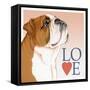 Bulldog Love-Tomoyo Pitcher-Framed Stretched Canvas