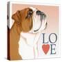 Bulldog Love-Tomoyo Pitcher-Stretched Canvas