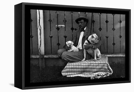 Bulldog, Master, and Pup-null-Framed Stretched Canvas
