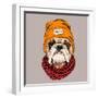 Bulldog Portrait in a Hipster Hat and with Knitted Scarf. Vector Illustration.-Afishka-Framed Art Print