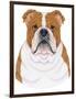 Bulldog Portrait-Tomoyo Pitcher-Framed Premium Giclee Print