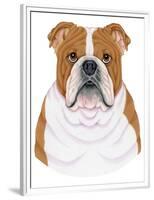 Bulldog Portrait-Tomoyo Pitcher-Framed Premium Giclee Print