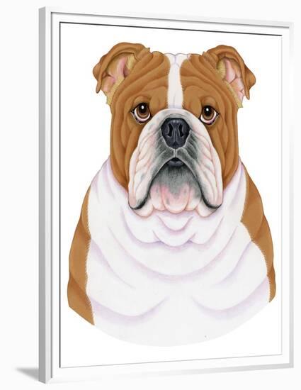 Bulldog Portrait-Tomoyo Pitcher-Framed Premium Giclee Print