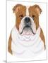 Bulldog Portrait-Tomoyo Pitcher-Mounted Premium Giclee Print