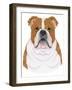 Bulldog Portrait-Tomoyo Pitcher-Framed Giclee Print