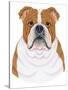 Bulldog Portrait-Tomoyo Pitcher-Stretched Canvas