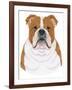 Bulldog Portrait-Tomoyo Pitcher-Framed Giclee Print