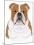 Bulldog Portrait-Tomoyo Pitcher-Mounted Giclee Print