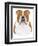 Bulldog Portrait-Tomoyo Pitcher-Framed Giclee Print