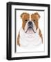 Bulldog Portrait-Tomoyo Pitcher-Framed Giclee Print