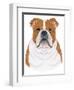 Bulldog Portrait-Tomoyo Pitcher-Framed Giclee Print