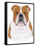 Bulldog Portrait-Tomoyo Pitcher-Framed Stretched Canvas