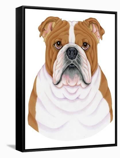 Bulldog Portrait-Tomoyo Pitcher-Framed Stretched Canvas