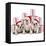 Bulldog Puppies Sitting with Christmas Presents-null-Framed Stretched Canvas