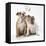 Bulldog Puppies under Mistletoe-null-Framed Stretched Canvas