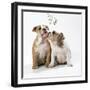 Bulldog Puppies under Mistletoe-null-Framed Premium Photographic Print