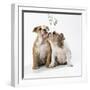 Bulldog Puppies under Mistletoe-null-Framed Premium Photographic Print