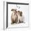 Bulldog Puppies under Mistletoe-null-Framed Photographic Print