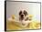Bulldog Puppy in Miniature Bathtub-Larry Williams-Framed Stretched Canvas