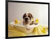 Bulldog Puppy in Miniature Bathtub-Larry Williams-Framed Photographic Print