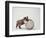 Bulldog Puppy Playing with Metal Sphere-Larry Williams-Framed Photographic Print