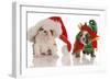 Bulldog Puppy Santa and Elf-Willee Cole-Framed Photographic Print