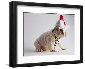 Bulldog Puppy Wearing Santa Hat-Jim Craigmyle-Framed Photographic Print