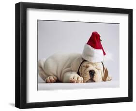 Bulldog Puppy Wearing Santa Hat-Jim Craigmyle-Framed Photographic Print