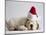 Bulldog Puppy Wearing Santa Hat-Jim Craigmyle-Mounted Photographic Print