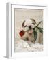 Bulldog Puppy with Rose in Mouth-null-Framed Photographic Print