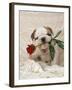 Bulldog Puppy with Rose in Mouth-null-Framed Photographic Print