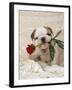 Bulldog Puppy with Rose in Mouth-null-Framed Photographic Print