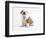 Bulldog Puppy-Peter M^ Fisher-Framed Photographic Print
