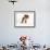 Bulldog Puppy-Peter M. Fisher-Framed Photographic Print displayed on a wall