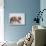 Bulldog Puppy-Jim Craigmyle-Photographic Print displayed on a wall