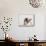 Bulldog Puppy-Jim Craigmyle-Mounted Photographic Print displayed on a wall
