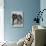 Bulldog/Rodney Stone/-null-Photographic Print displayed on a wall